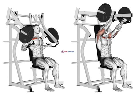 2- Variation and muscle engagement: Using the incline chest press machine provides a variation to the traditional flat bench press. This exercise activates different muscle fibers and engages the pectoralis major, pectoralis minor, anterior deltoids (front shoulders), and triceps to a greater extent compared to flat bench exercises. 3- Strength ... 
